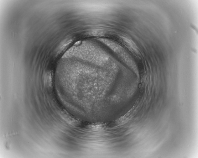 X0000093730120200710301052