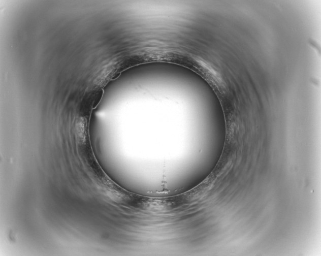 X0000093730121200710301052