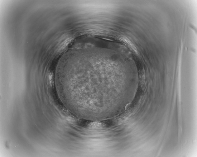 X0000093730123200710301052