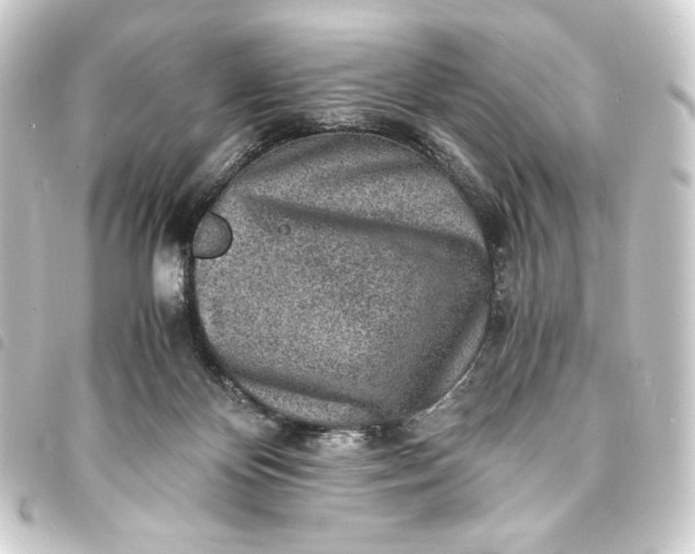 X0000093730124200710301052