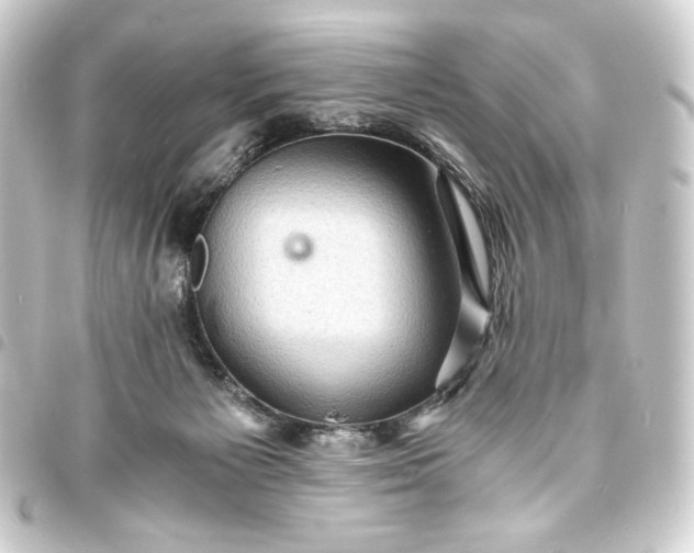 X0000093730125200710301052