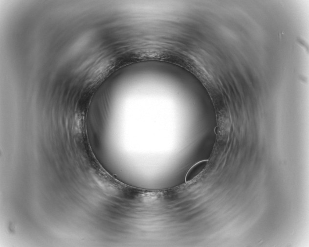 X0000093730126200710301052