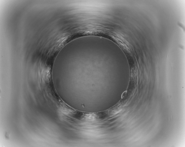 X0000093730127200710301052