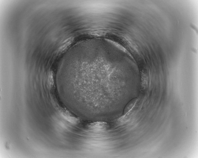 X0000093730128200710301052