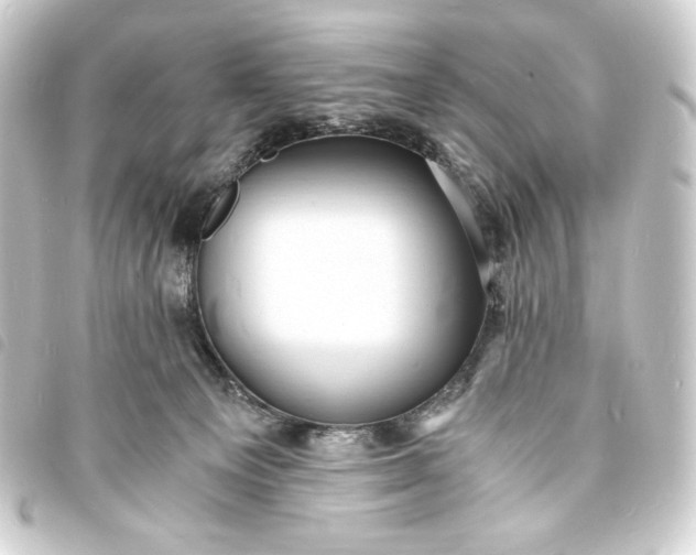 X0000093730129200710301052