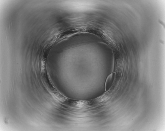 X0000093730130200710301052