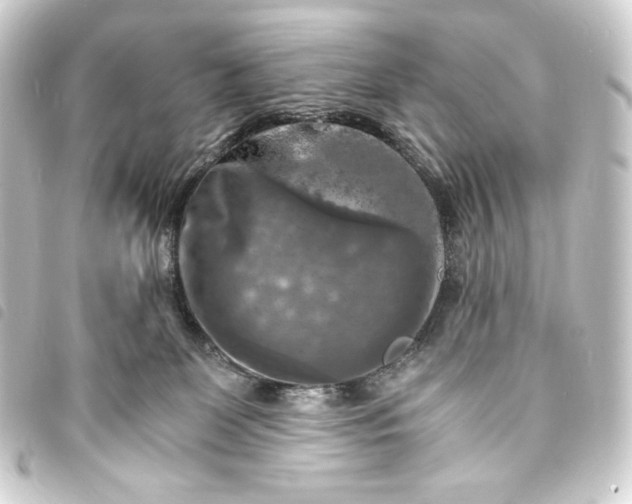 X0000093730131200710301052