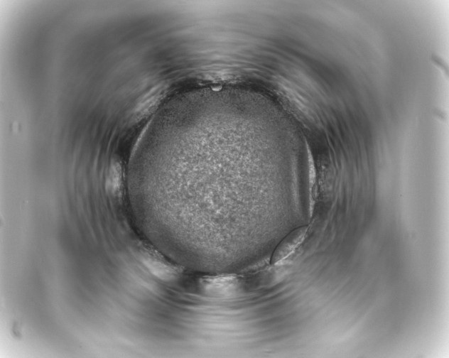 X0000093730132200710301052