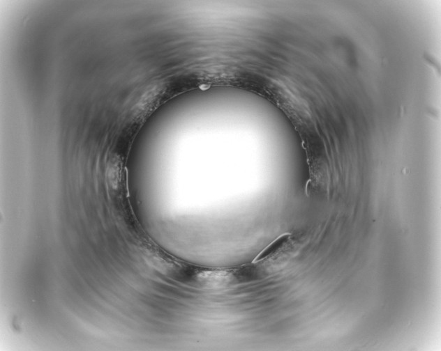 X0000093730133200710301051