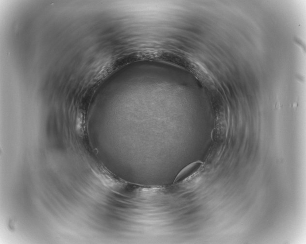 X0000093730134200710301051