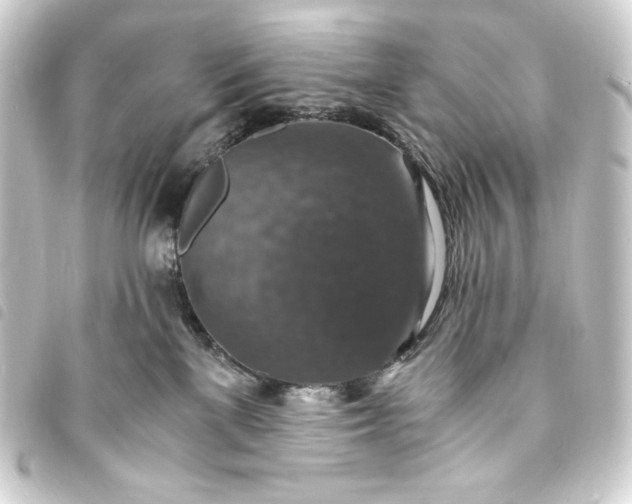 X0000093730137200710301051