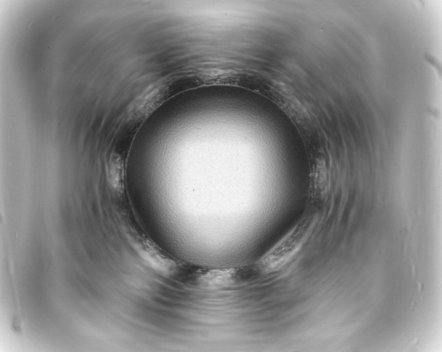 X0000093730138200710301051