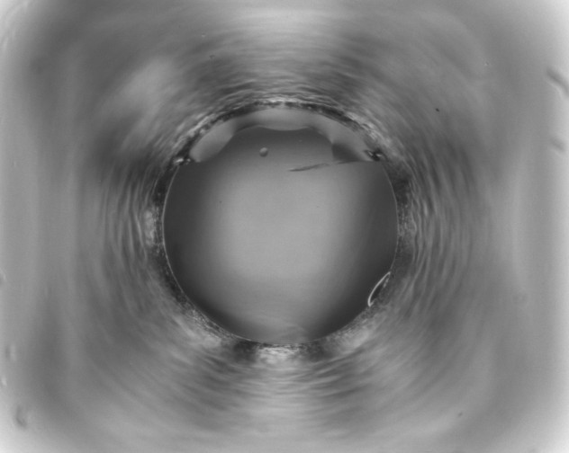 X0000093730139200710301051