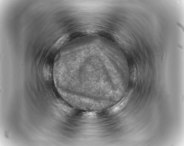 X0000093730140200710301051