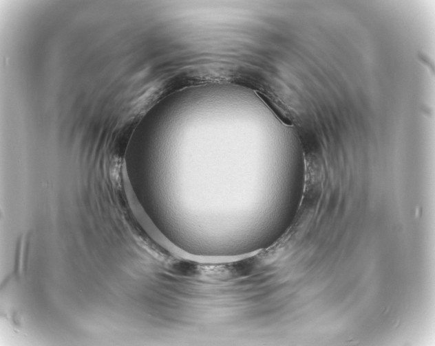 X0000093730141200710301051