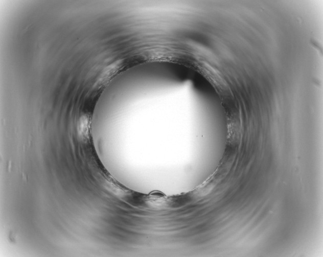 X0000093730142200710301051