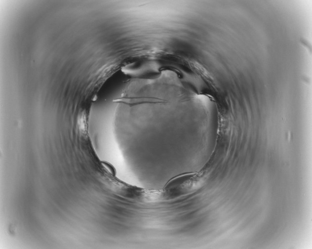 X0000093730143200710301051