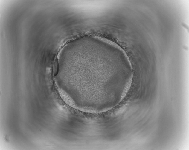 X0000093730144200710301051