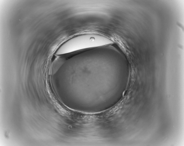 X0000093730145200710301051