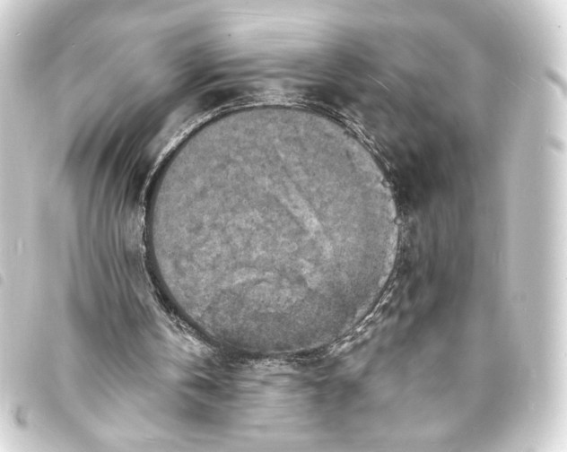 X0000093730146200710301051