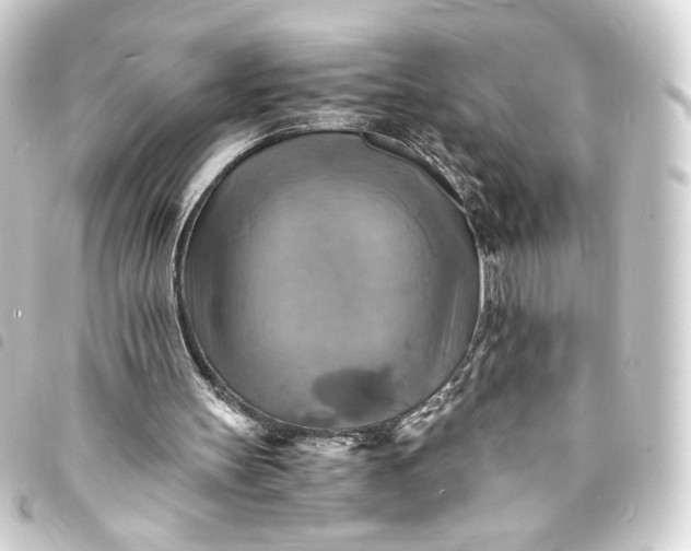 X0000093730147200710301051