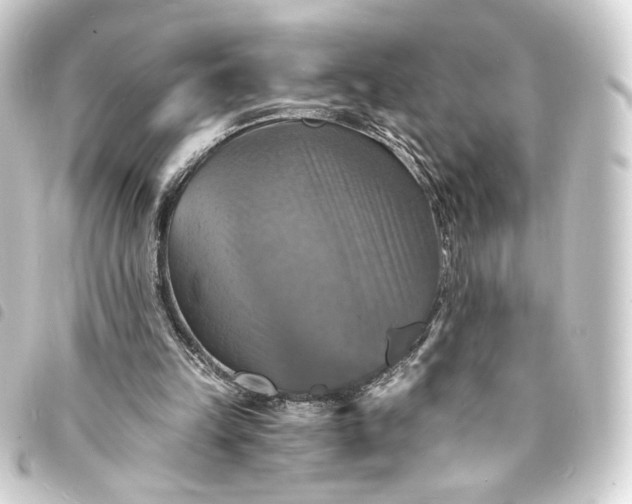 X0000093730149200710301051