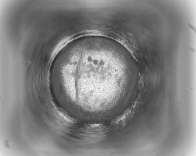 X0000093730151200710301051