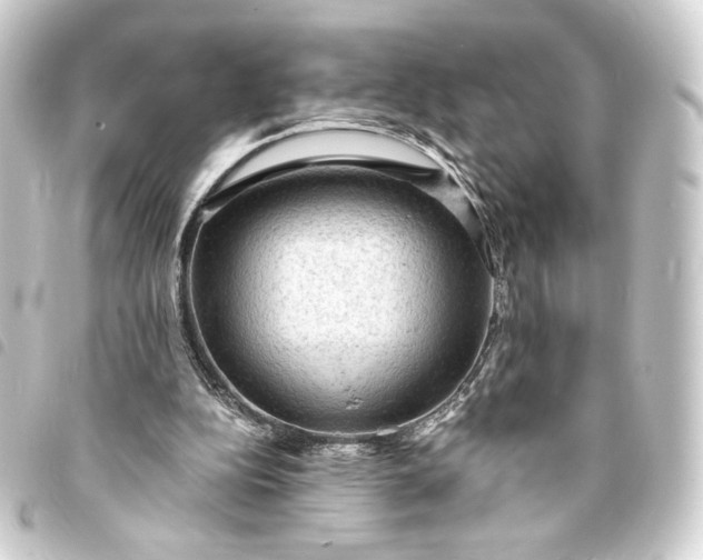 X0000093730152200710301051