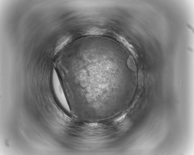 X0000093730153200710301051