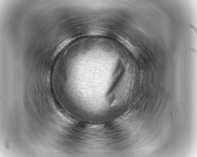 X0000093730155200710301051