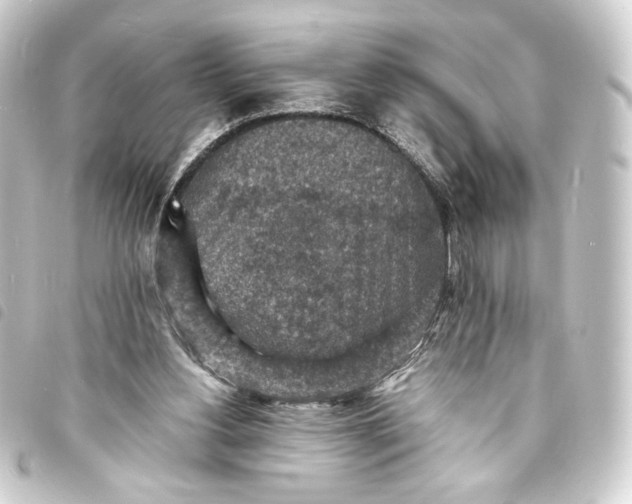 X0000093730156200710301051