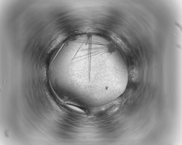 X0000093730158200710301051