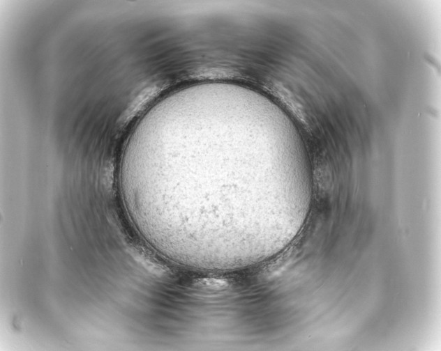 X0000093730159200710301051