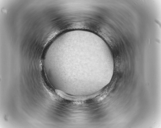 X0000093730160200710301051