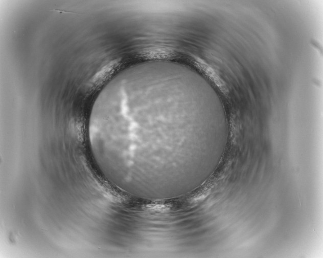 X0000093730161200710301051