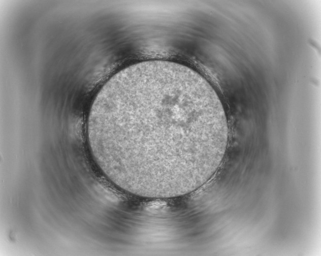 X0000093730162200710301051