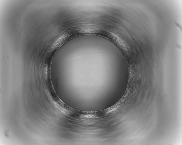 X0000093730163200710301051