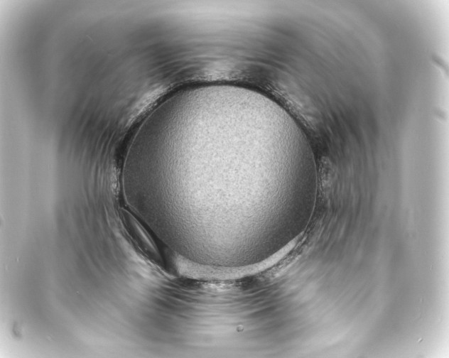 X0000093730164200710301051