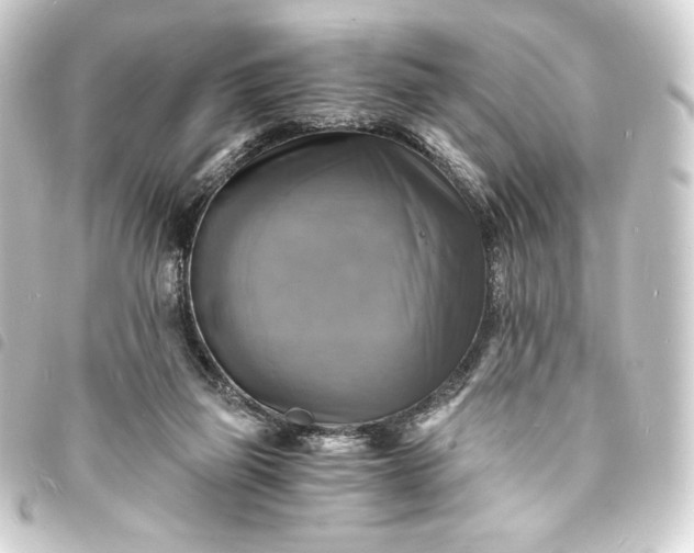 X0000093730165200710301051