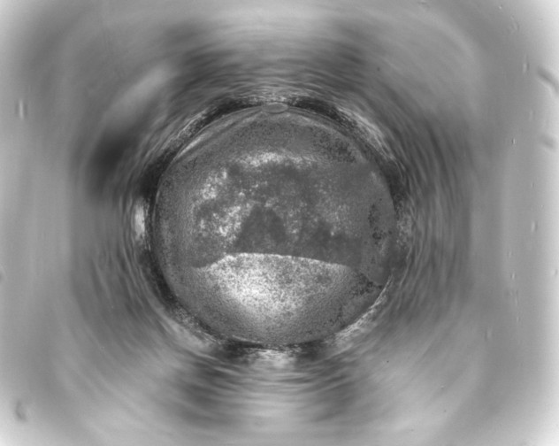 X0000093730166200710301051