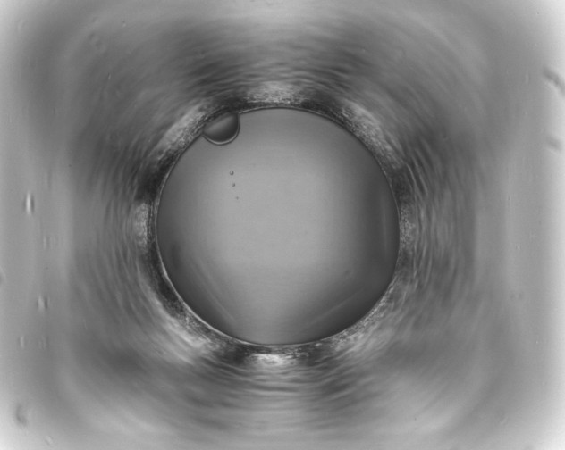 X0000093730167200710301051