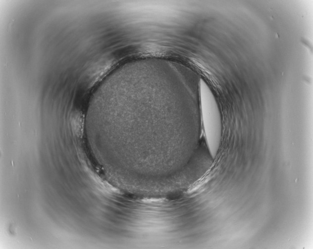 X0000093730168200710301051