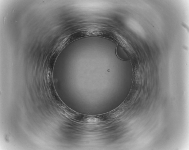 X0000093730169200710301051