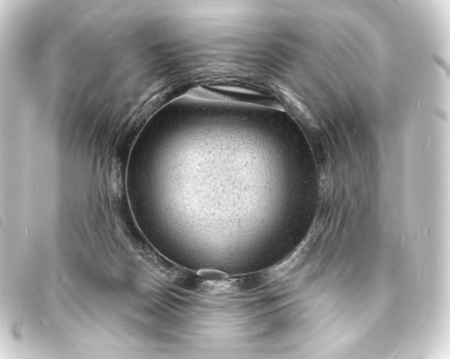 X0000093730170200710301051