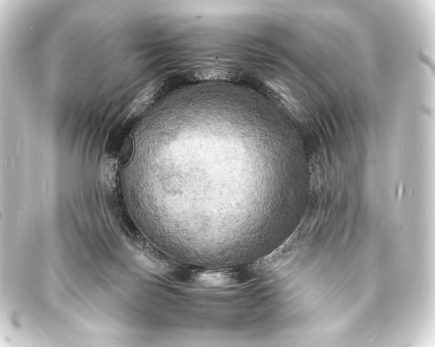 X0000093730171200710301051