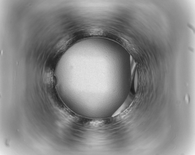 X0000093730172200710301051