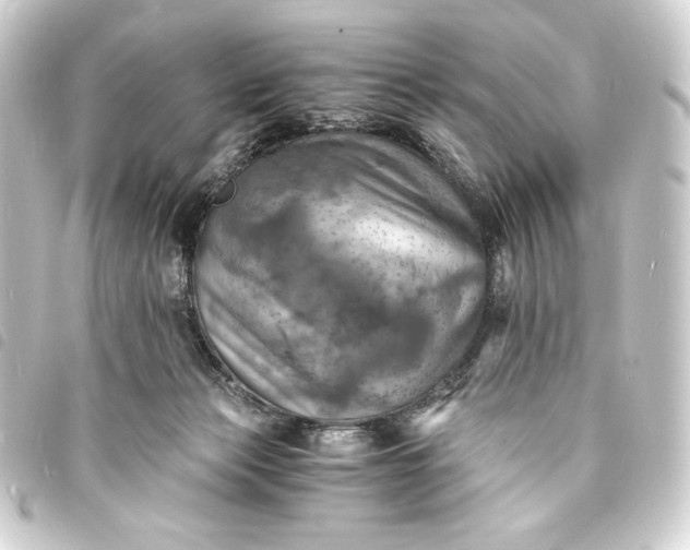 X0000093730173200710301051