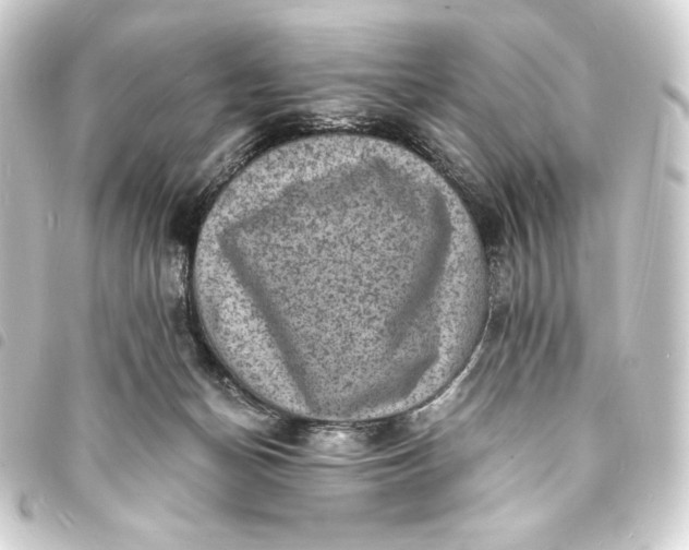 X0000093730174200710301051