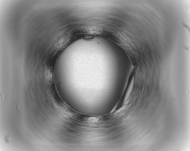 X0000093730176200710301051