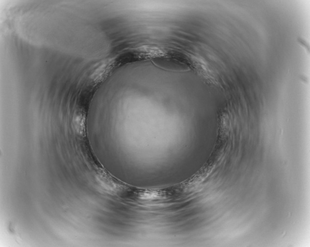 X0000093730177200710301051